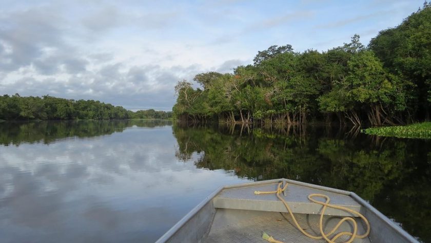 Boat in the Amazon river