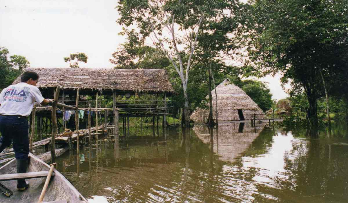 views of a lodge in Iquitos