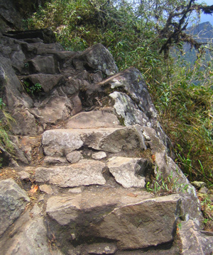 stone stairs to climb huayna picchu