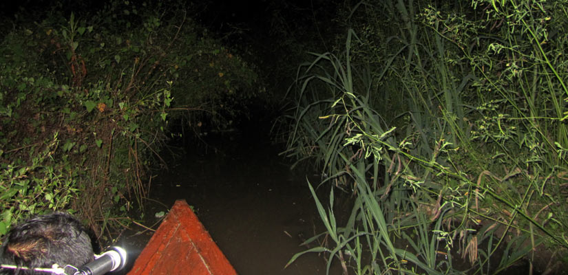 paseo barca de noche iquitos
