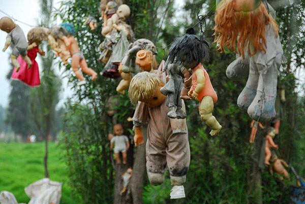Muñecas colgando de un árbol