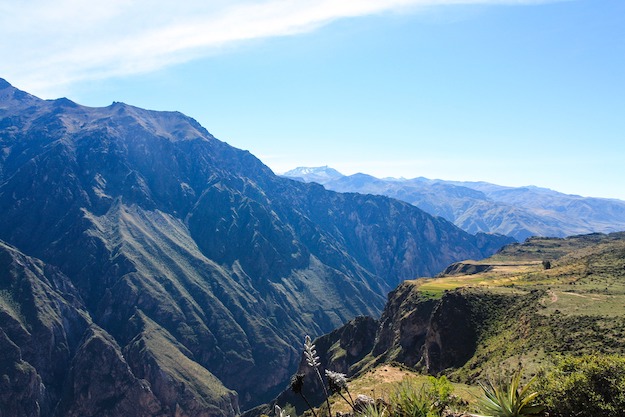 Colca Canyon Arequipa