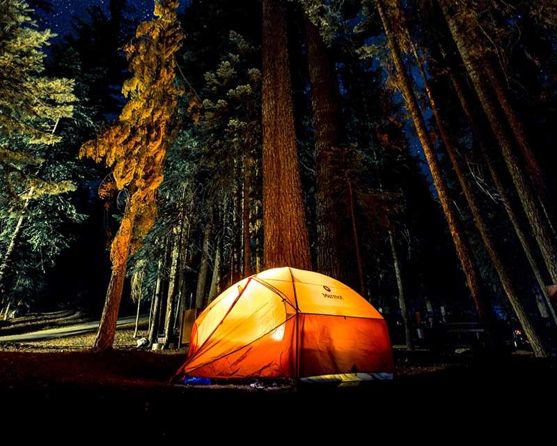 Camping in National Yellowstone park