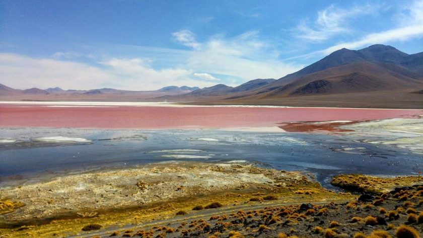 lagunas rosadas de bolivia