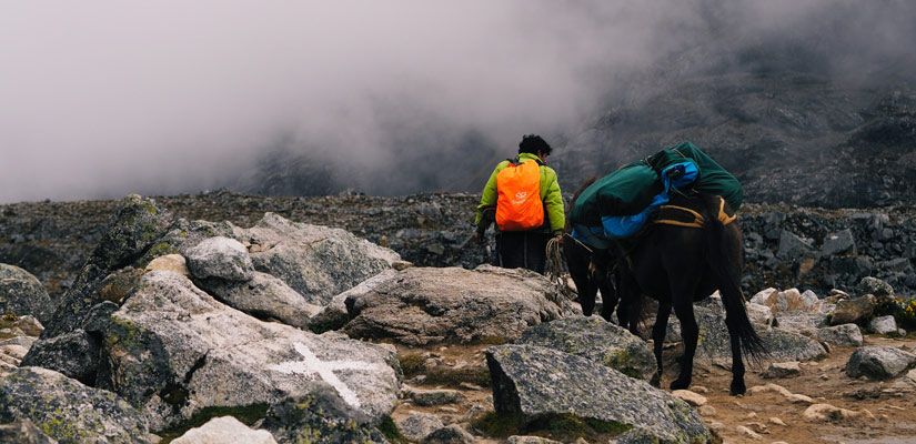 person with a mule along the salkantay trek