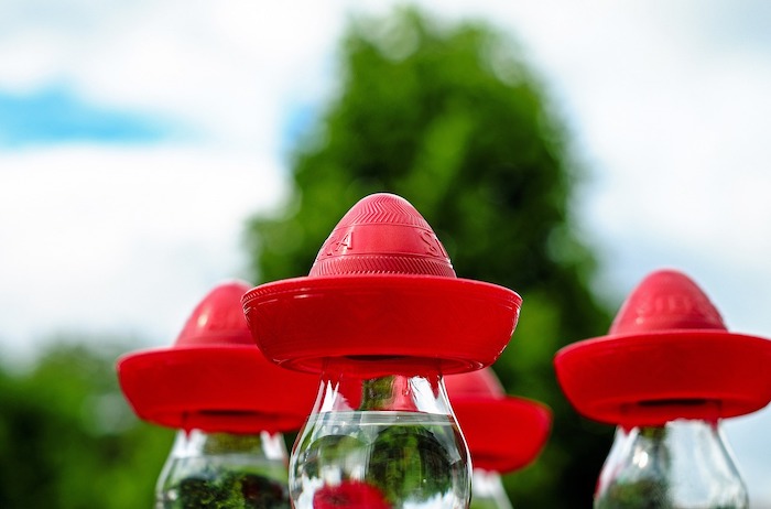 Cuello de botellas de tequila con tapón en forma de sombrero mexicano