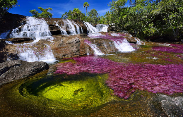 caño cristales most beautiful river in the world