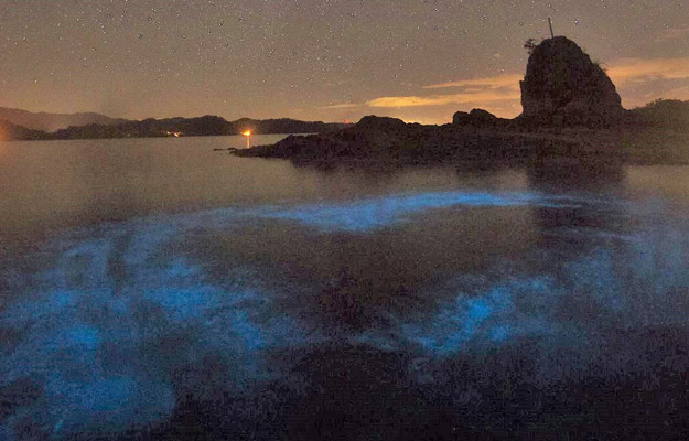 Bioluminescence in blue water kayak