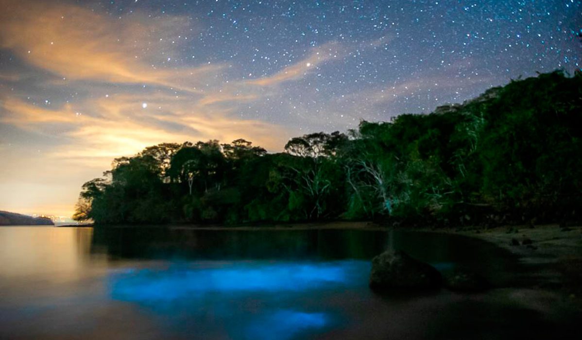<b>Blue water kayak bioluminescence in Costa Rica: the review</b>
