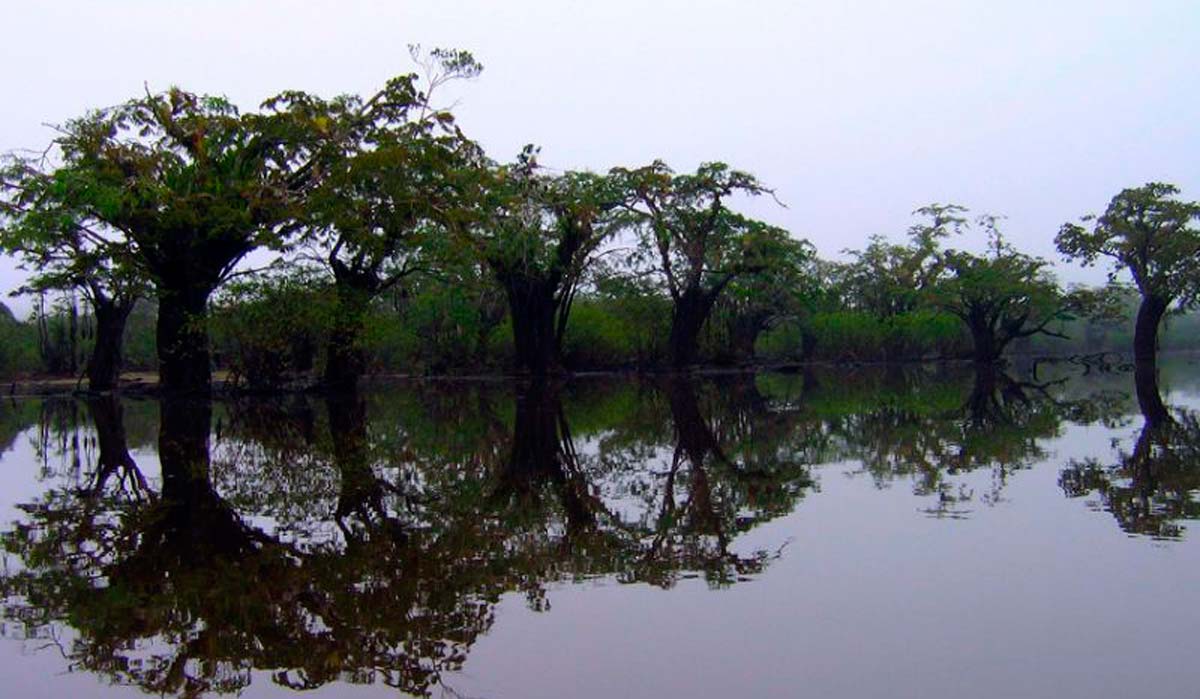 <b>Information about the Cuyabeno Reserve that you should know before going there</b>