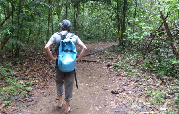 Barefoot Guide through Corcovado Park