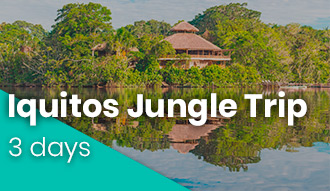 Iquitos Jungle tour howlanders