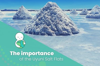 importance of uyuni salt flats