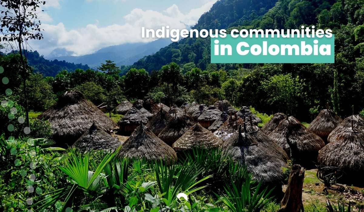 indigenous communities in colombia