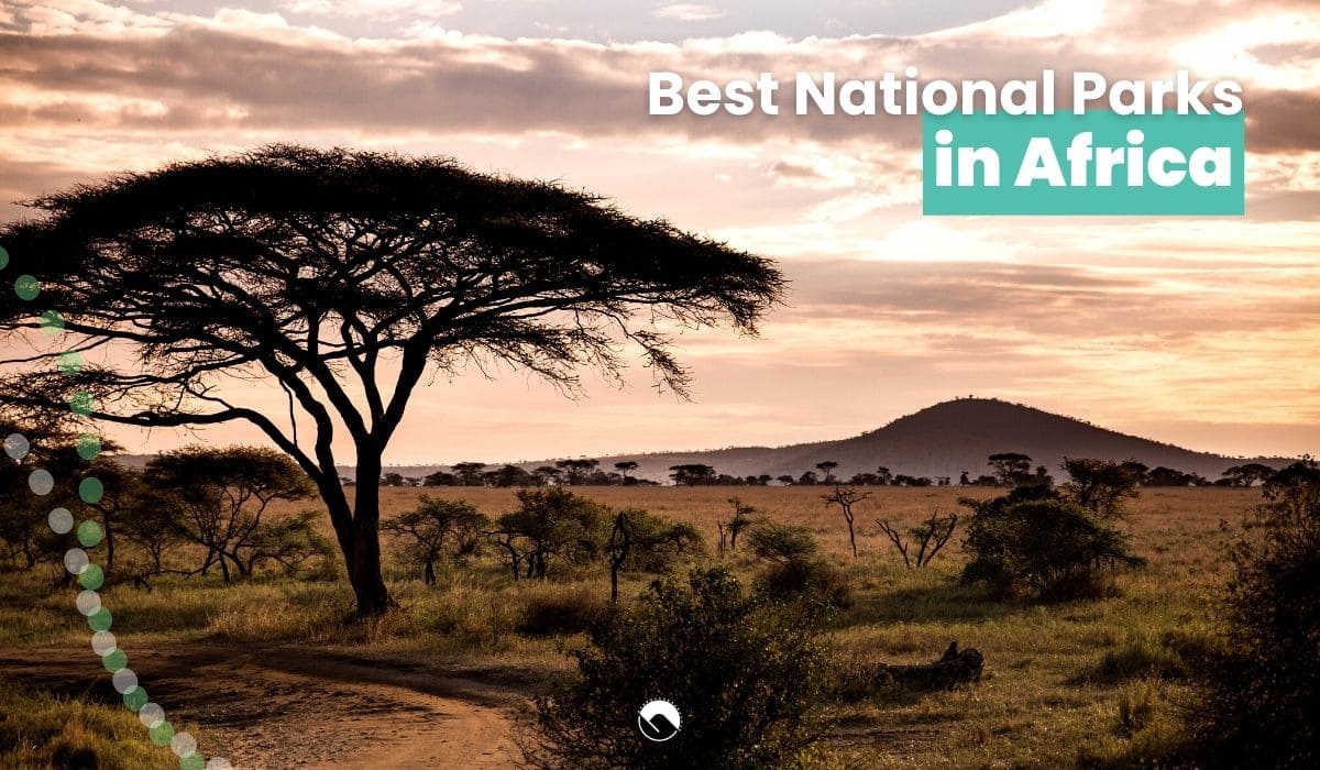 best national parks in africa