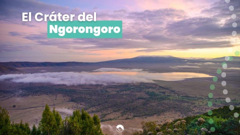 cráter del ngorongoro