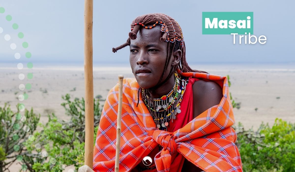 masai tribe