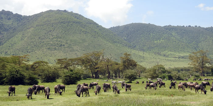 ngorongoro conservation area