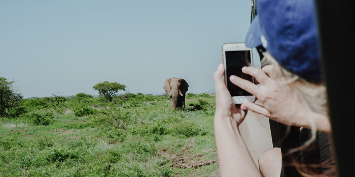 haciendo fotos de safari